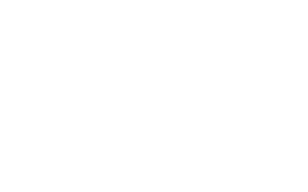 Fortt Knox Logo